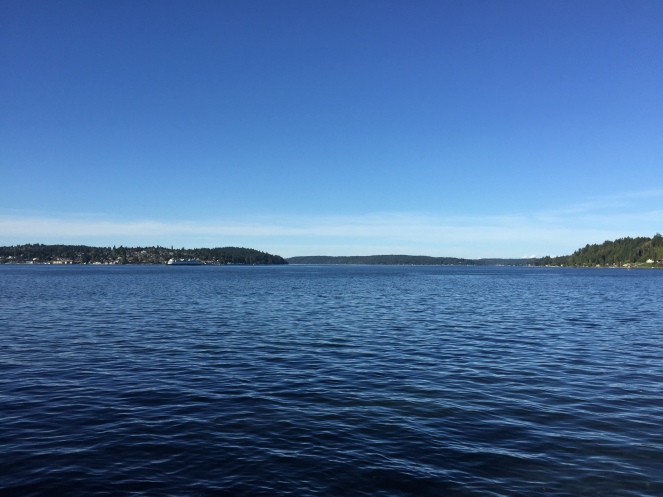 Puget Sound from the Annapolis Foot Ferry dock.